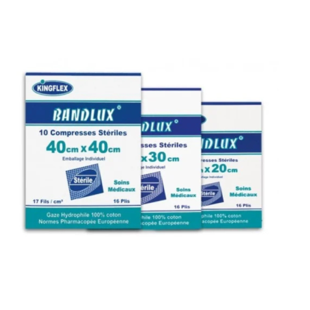 Compresse stérile 16 plis  10cm x 10cm INDIV (10 boites/10pcs)