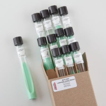 Gélose Lowenstein Jensen (tubes/10ml)