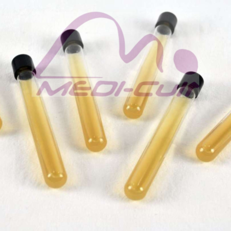 Gélose Sabouraud Chloramphénicol (Tube/10ml)