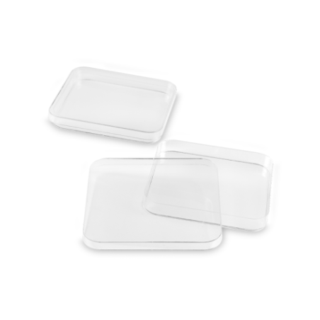 Boite de petri carrée 120mm x 120mm FL MEDICAL (carton/240pcs)