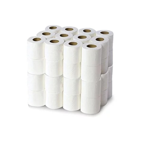 Papier hygiénique de toilette (Sachet/70R)