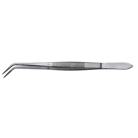 Pince en acier inox à disséquer à extrémité pointue 160mm (1pc)