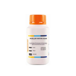 Gélose Mueller-Hinton (500g)