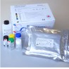 LIOFeron®TB/LTBI HUMAN IFN-γ ELISA
